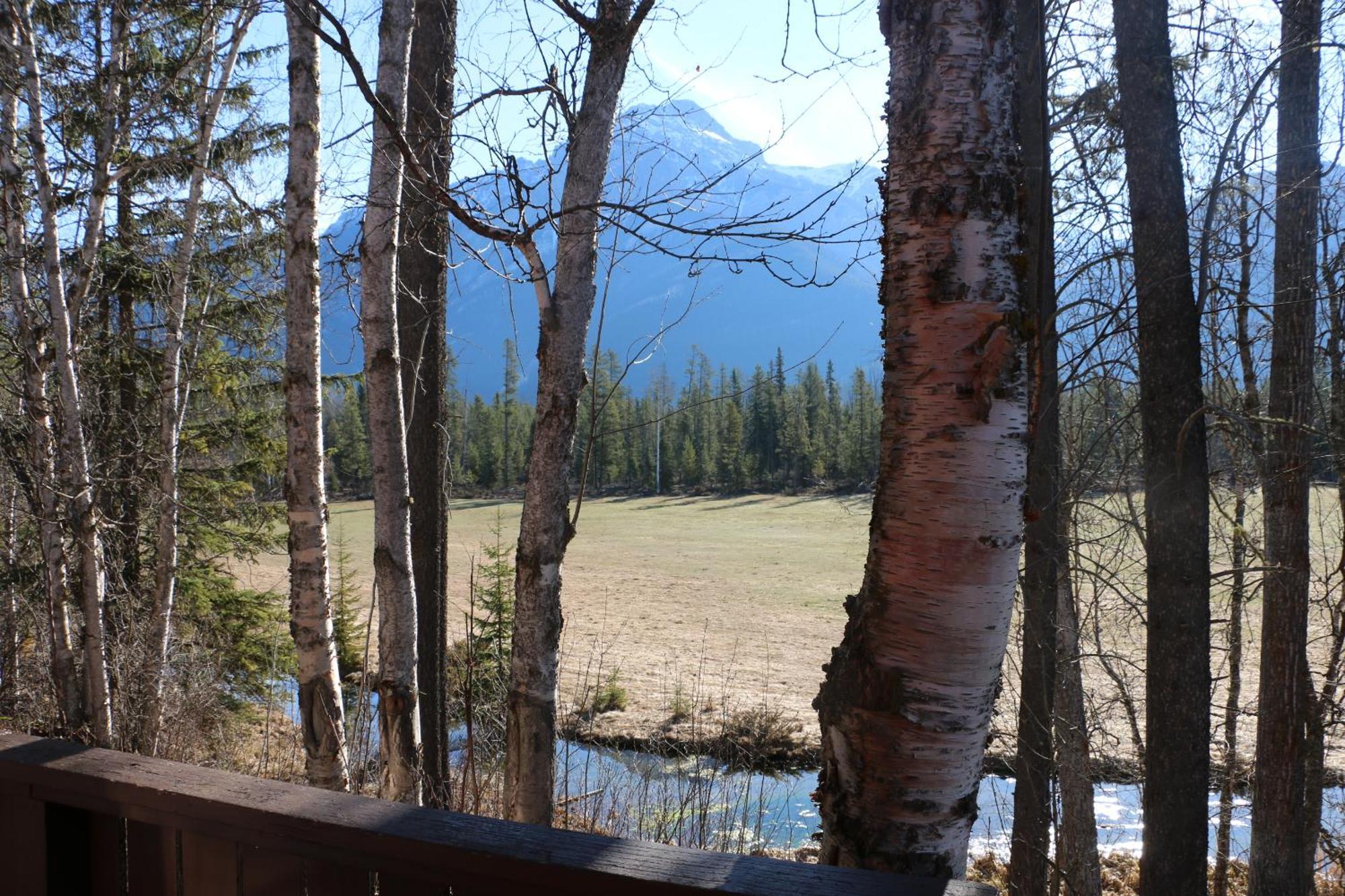 Rocky Mountain Cabins And Home โกลเดน ภายนอก รูปภาพ