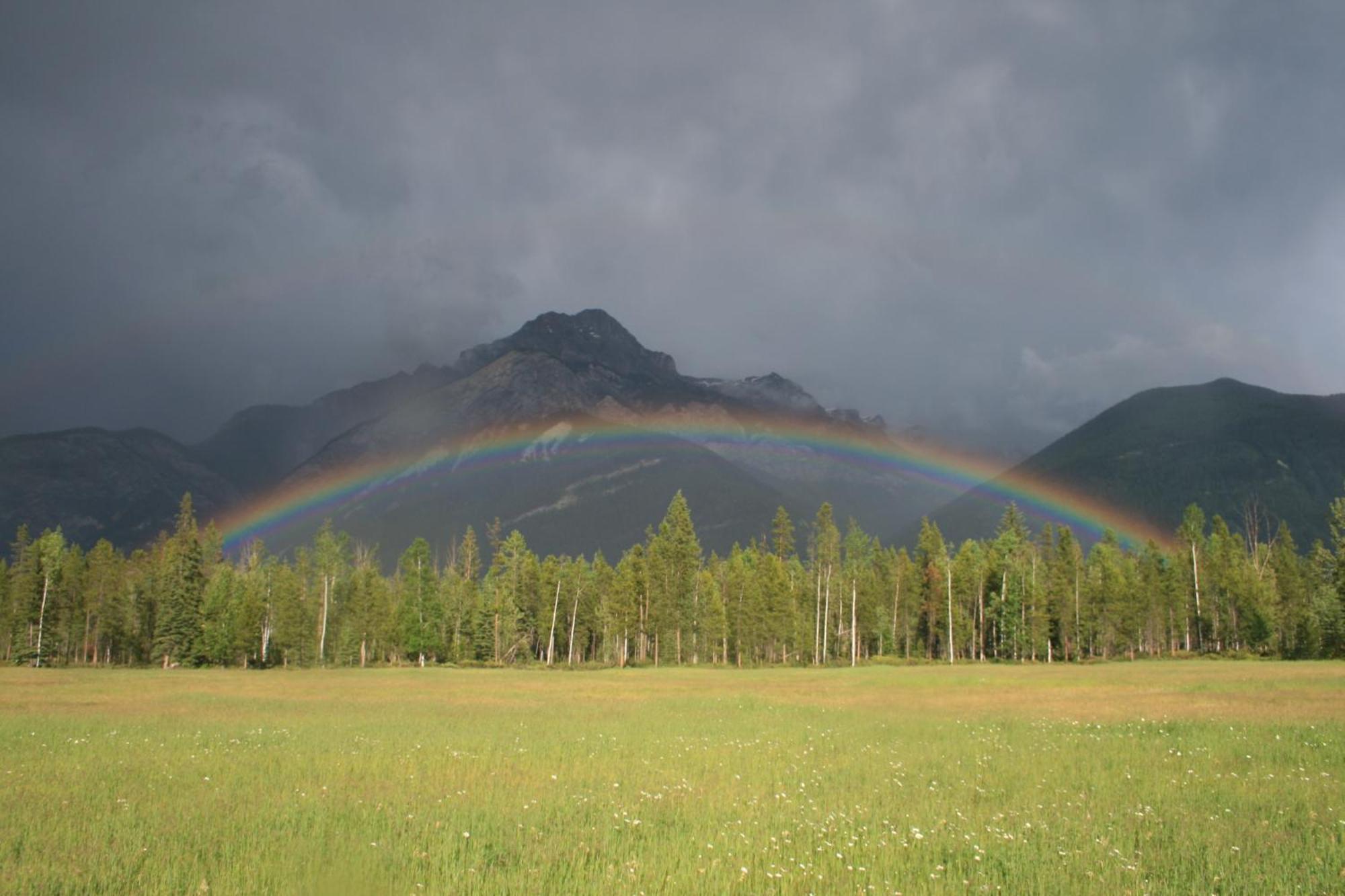 Rocky Mountain Cabins And Home โกลเดน ภายนอก รูปภาพ